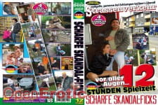 12 Stunden Scharfe Skandal-Ficks - 4 DVDs